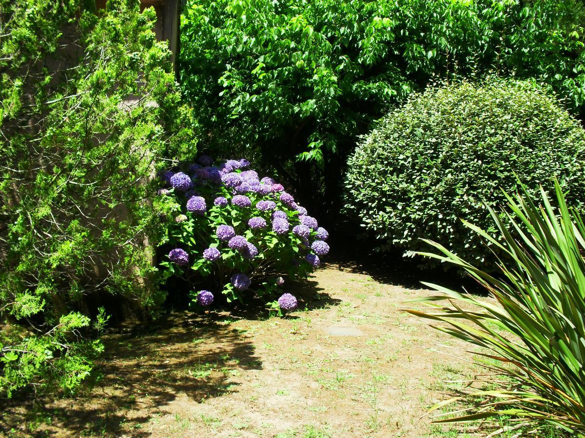 Residence Les Aulnes Porto-Vecchio Kültér fotó